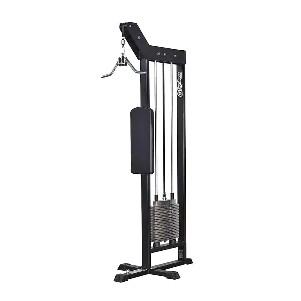 251 Triceps Pushdown
