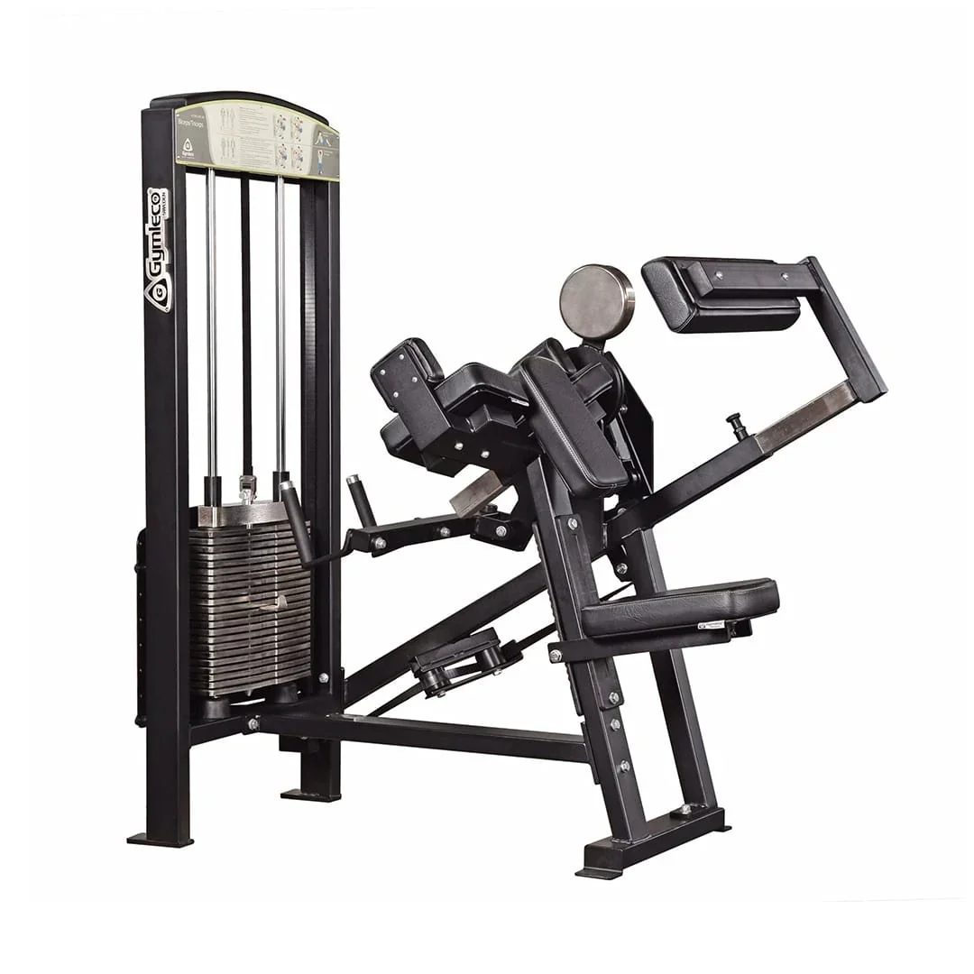 355 Biceps/Triceps